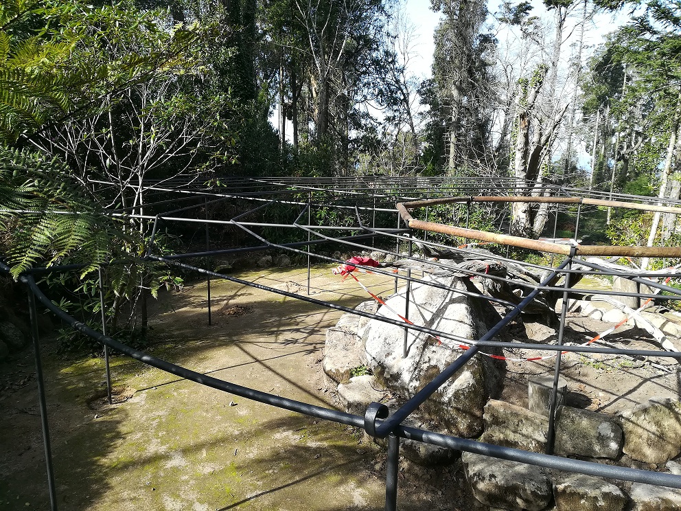 Foto do projeto