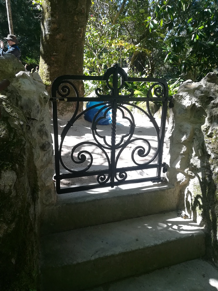 Foto do projeto